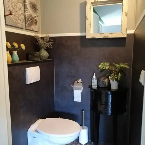 Apart toilet