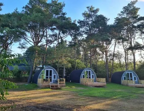 Rij Wood Lodges onder de dennen